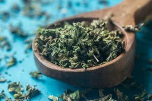 خرید نعنا خشک + قیمت عمده